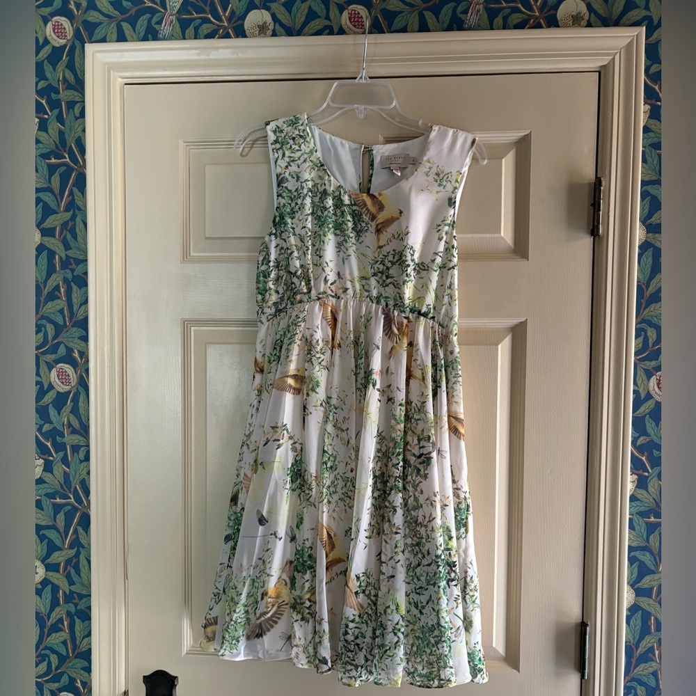 Ted Baker swing dress size 2 (US size 6) bird and butterfly print